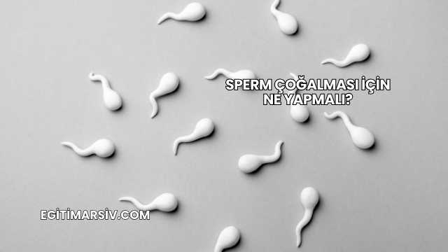 Sperm Çoğalması İçin Ne Yapmalı?