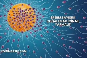 Sperm Sayısını Çoğaltmak İçin Ne Yapmalı?