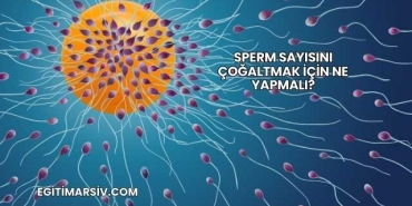 Sperm Sayısını Çoğaltmak İçin Ne Yapmalı?
