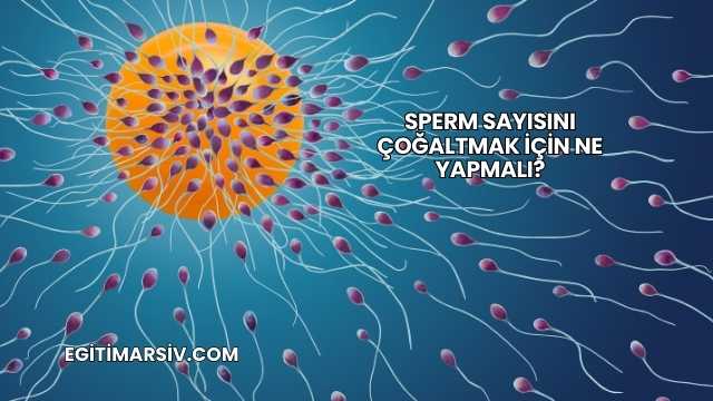 Sperm Sayısını Çoğaltmak İçin Ne Yapmalı?