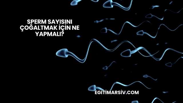 Sperm Sayısını Çoğaltmak İçin Ne Yapmalı?