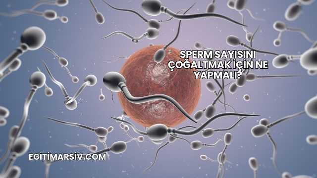 Sperm Sayısını Çoğaltmak İçin Ne Yapmalı?