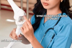 Synchondrosis Nasıl Okunur?