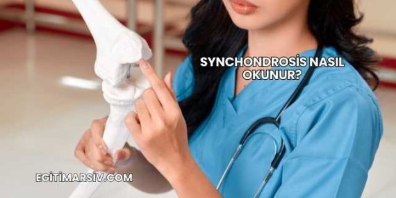 Synchondrosis Nasıl Okunur?