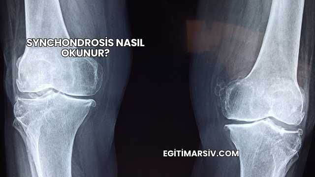 Synchondrosis Nasıl Okunur?