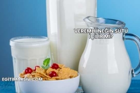 Veremli İneğin Sütü İçilir mi?