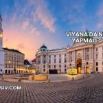 Viyana'da Ne Yapmalı?