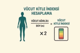 Vücut Kitle İndeksi Hesaplama