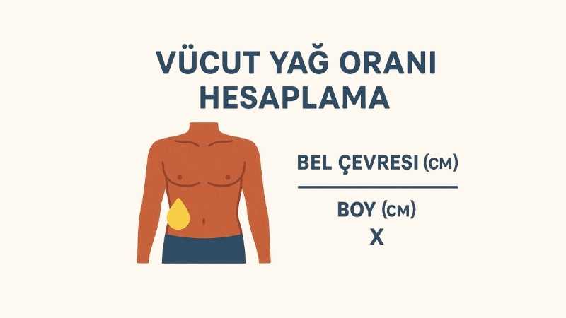 Vücut Yağ Oranı Hesaplama