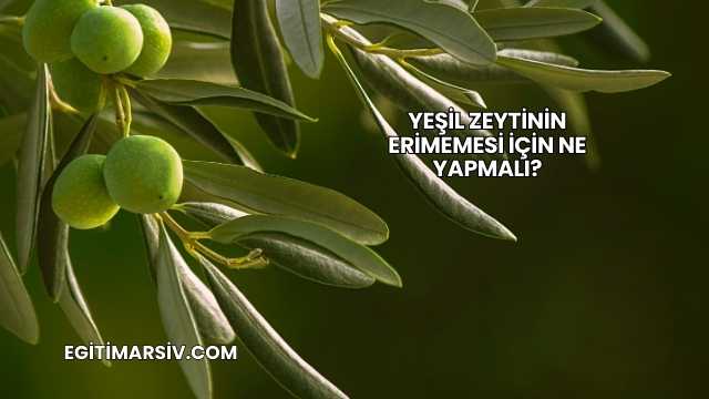 Yeşil Zeytinin Erimemesi İçin Ne Yapmalı?