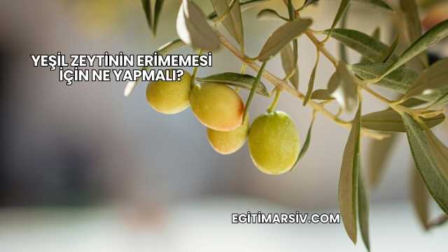 Yeşil Zeytinin Erimemesi İçin Ne Yapmalı?