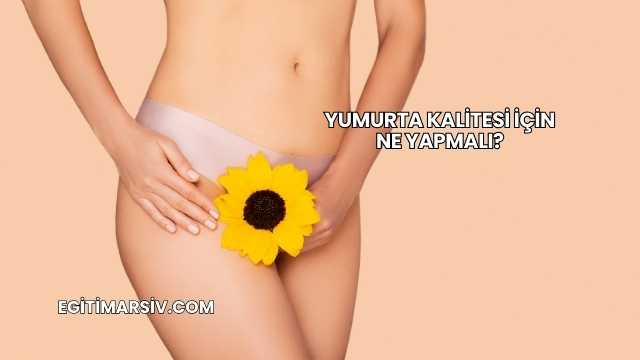 Yumurta Kalitesi İçin Ne Yapmalı?