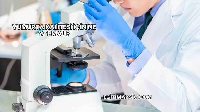 Yumurta Kalitesi İçin Ne Yapmalı?