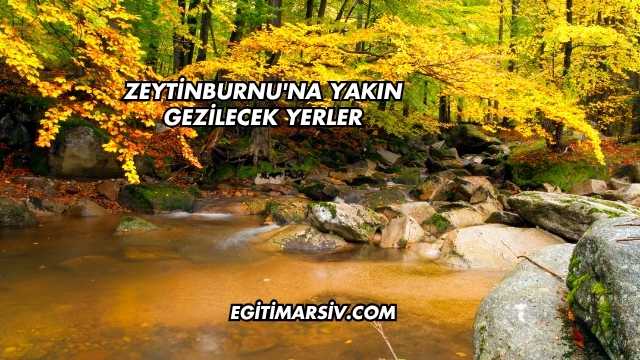 Zeytinburnu'na Yakın Gezilecek Yerler