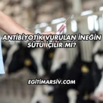 Antibiyotik Vurulan İneğin Sütü İçilir mi?