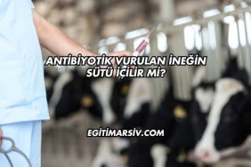 Antibiyotik Vurulan İneğin Sütü İçilir mi?
