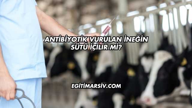 Antibiyotik Vurulan İneğin Sütü İçilir mi?