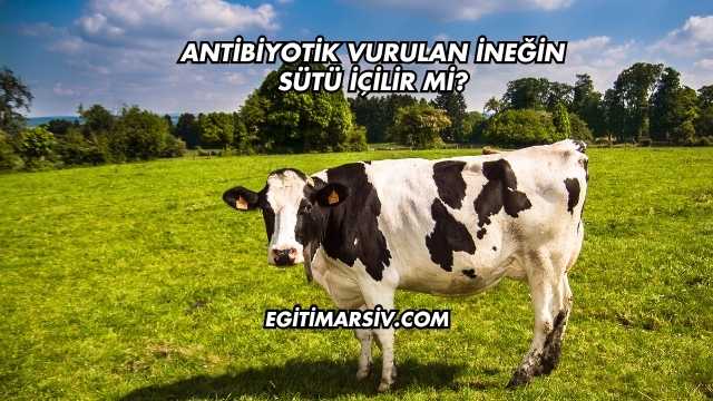 Antibiyotik Vurulan İneğin Sütü İçilir mi?
