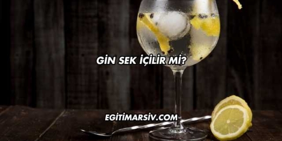 Gin Sek İçilir mi?