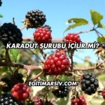 Karadut Şurubu İçilir mi?