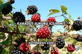 Karadut Şurubu İçilir mi?