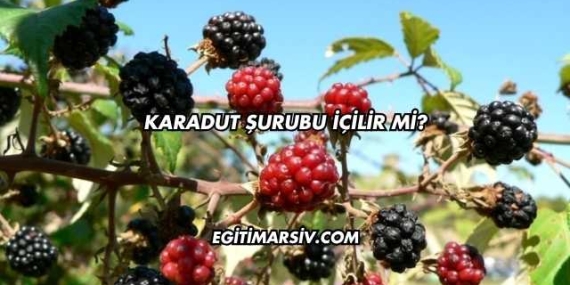 Karadut Şurubu İçilir mi?