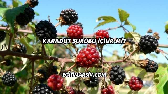 Karadut Şurubu İçilir mi?