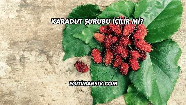 Karadut Şurubu İçilir mi?