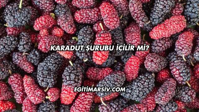 Karadut Şurubu İçilir mi?