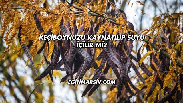 Keçiboynuzu Kaynatılıp Suyu İçilir mi?