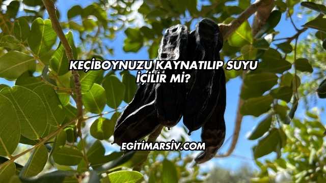 Keçiboynuzu Kaynatılıp Suyu İçilir mi?