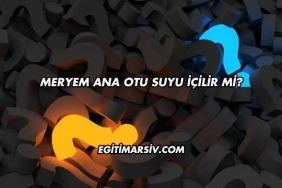 Meryem Ana Otu Suyu İçilir mi?