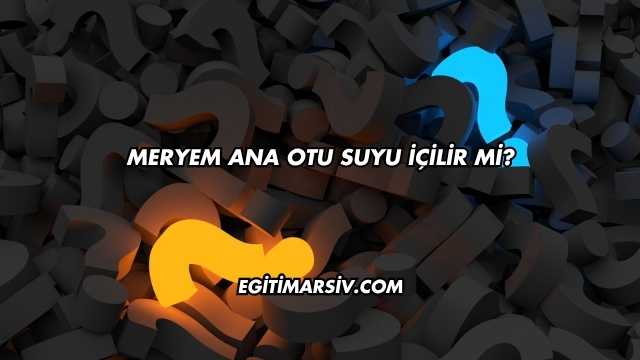 Meryem Ana Otu Suyu İçilir mi?