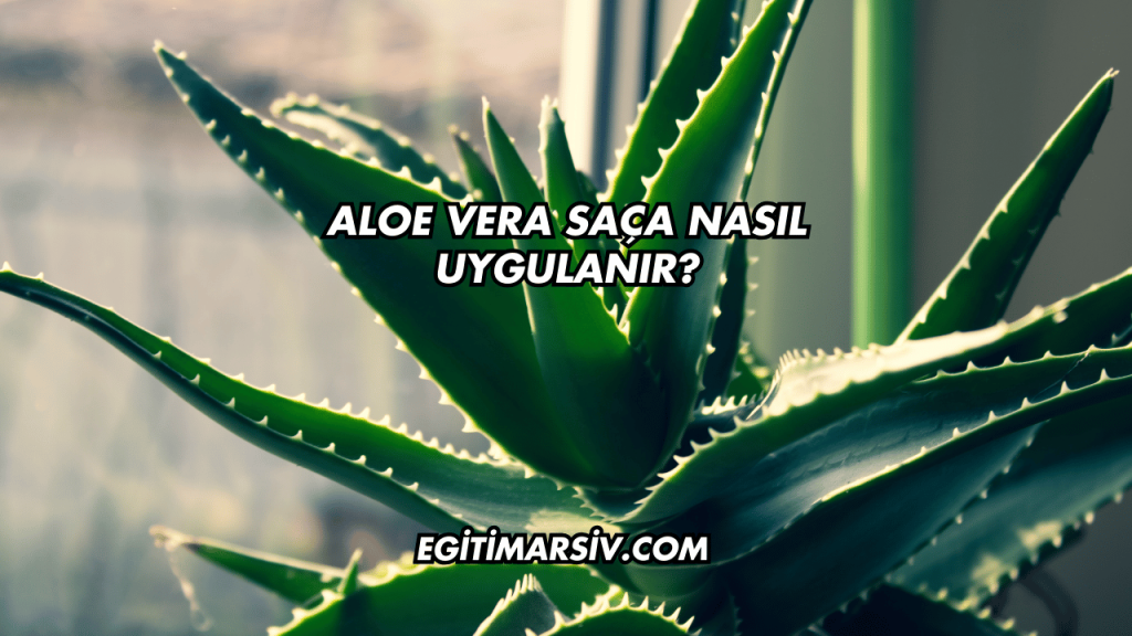 Aloe Vera Saça Nasıl Uygulanır?