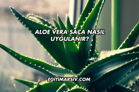 Aloe Vera Saça Nasıl Uygulanır?