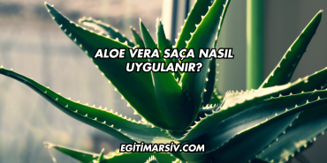 Aloe Vera Saça Nasıl Uygulanır?