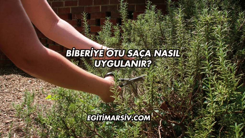 Biberiye Otu Saça Nasıl Uygulanır?