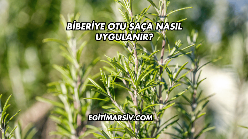Biberiye Otu Saça Nasıl Uygulanır?