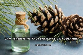 Cam Terebentin Yağı Saça Nasıl Uygulanır?