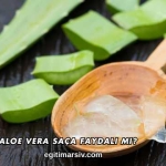 Aloe Vera Saça Faydalı mı?