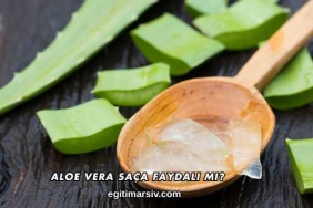 Aloe Vera Saça Faydalı mı?