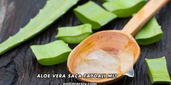 Aloe Vera Saça Faydalı mı?