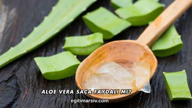 Aloe Vera Saça Faydalı mı?