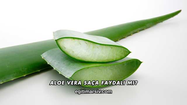 Aloe Vera Saça Faydalı mı?