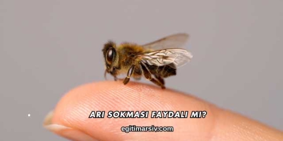 Arı Sokması Faydalı mı?