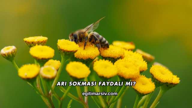 Arı Sokması Faydalı mı?