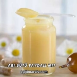 Arı Sütü Faydalı mı?