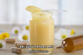 Arı Sütü Faydalı mı?