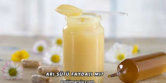 Arı Sütü Faydalı mı?