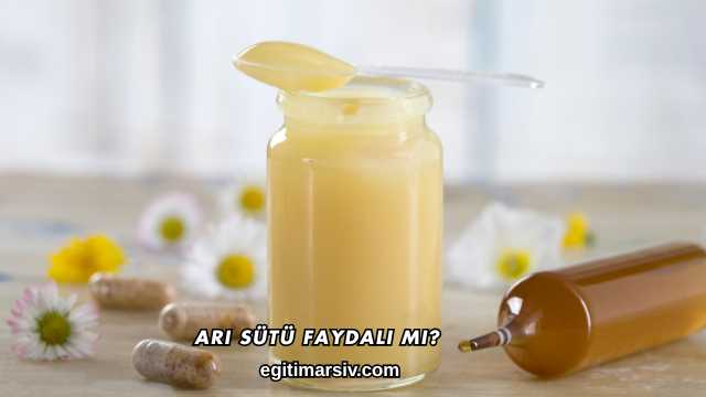 Arı Sütü Faydalı mı?